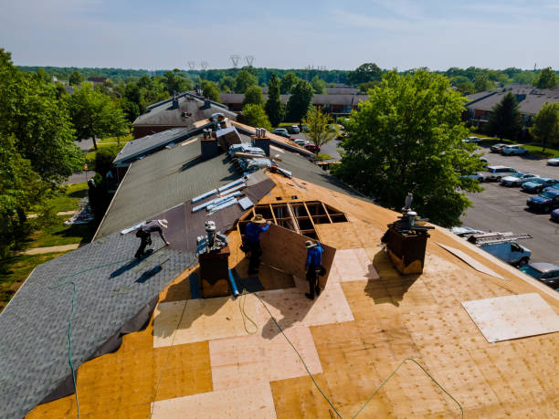 Best Flat Roof Repair Services  in Wayne, OH