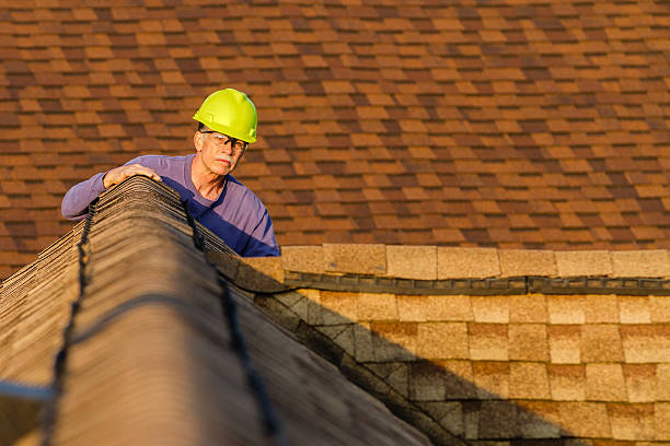 Roof Gutter Cleaning in Wayne, OH