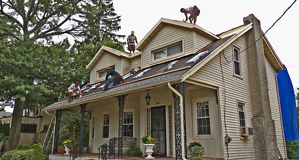 Best Roof Leak Repair  in Wayne, OH
