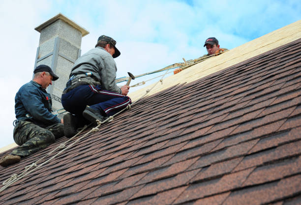 Best Storm Damage Roof Repair  in Wayne, OH