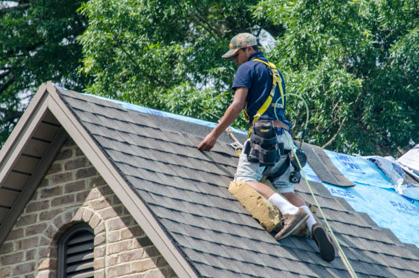 Best Shingle Roofing Installation  in Wayne, OH